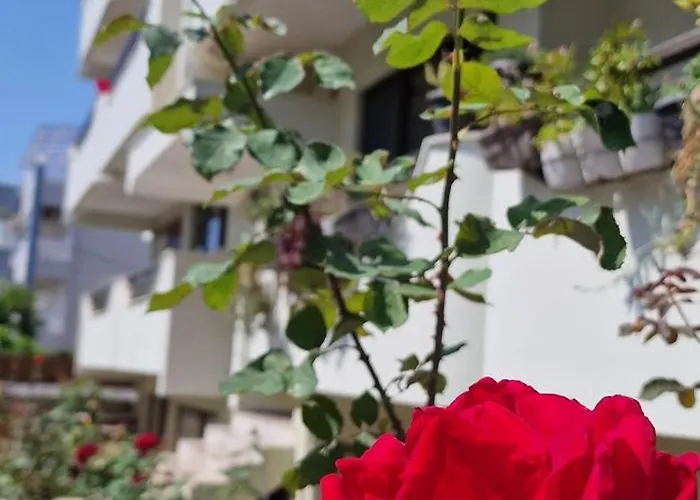 Center Luxury Spacious A&m Ii Rhodes City